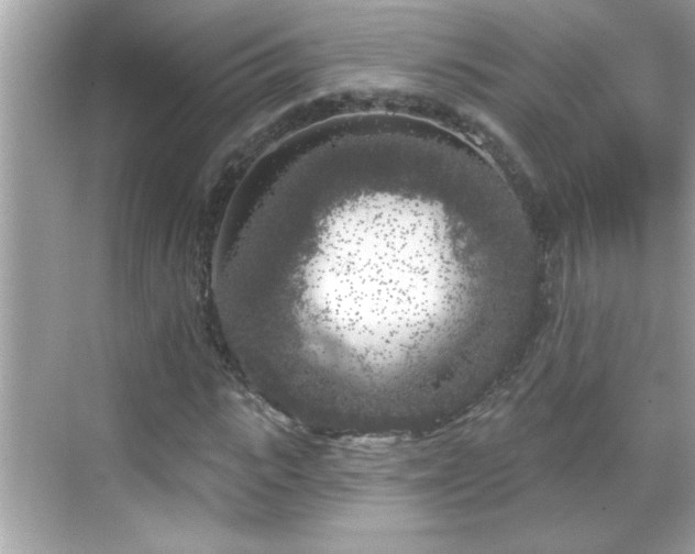 X0000069360919200605150912