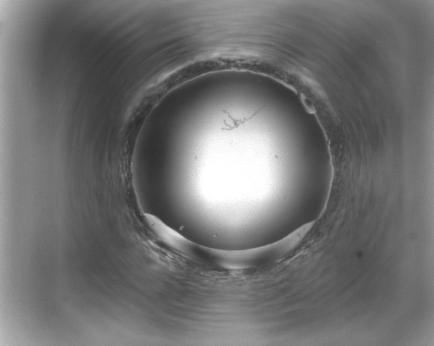 X0000069360920200605150912