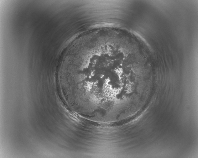 X0000069360921200605150912