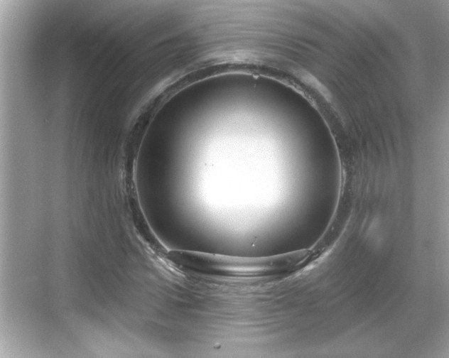 X0000069360922200605150912