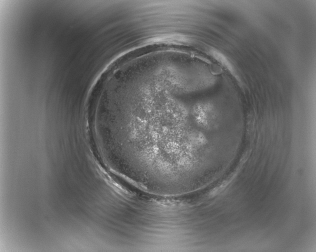 X0000069360923200605150912