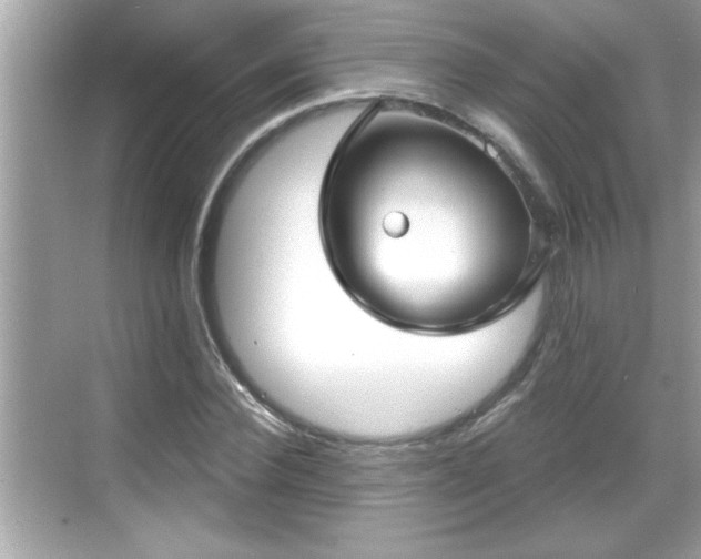 X0000069360924200605150912