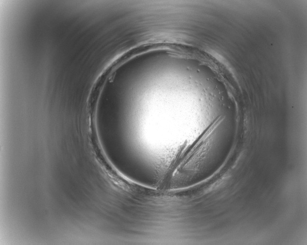 X0000069360925200605150912