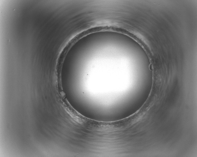 X0000069360927200605150912