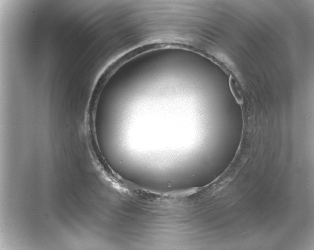 X0000069360928200605150912