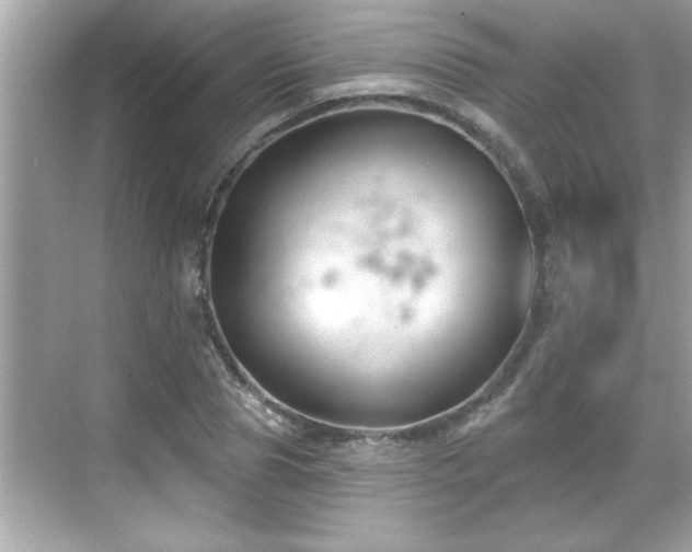 X0000069360929200605150912