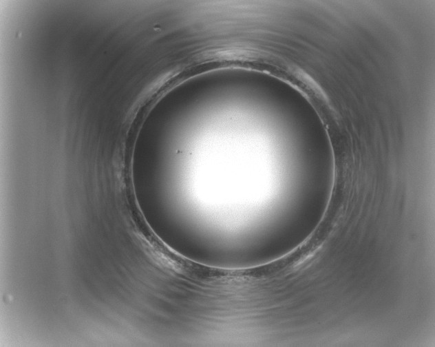 X0000069360930200605150912