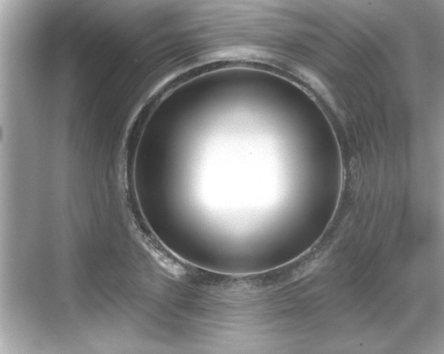 X0000069360931200605150913