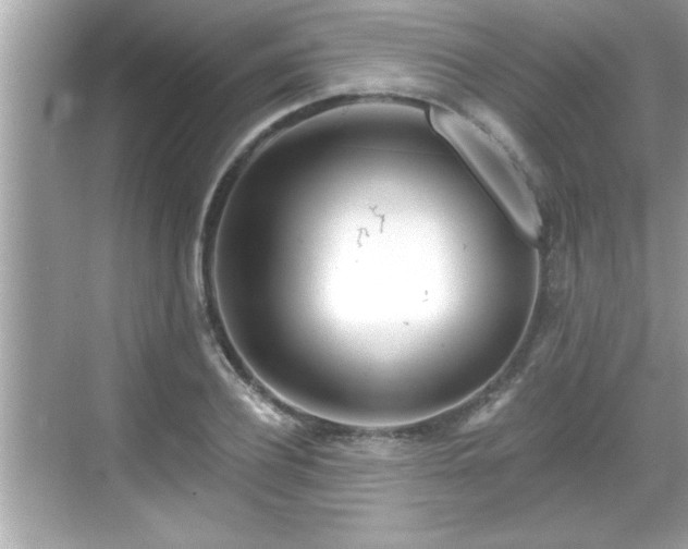 X0000069360932200605150913