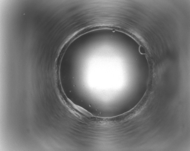 X0000069360933200605150913