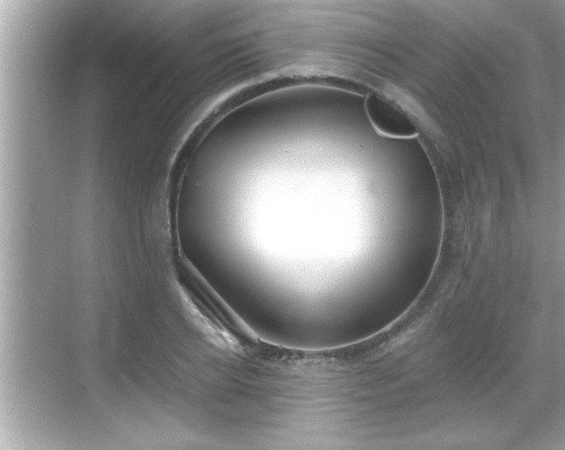 X0000069360934200605150913