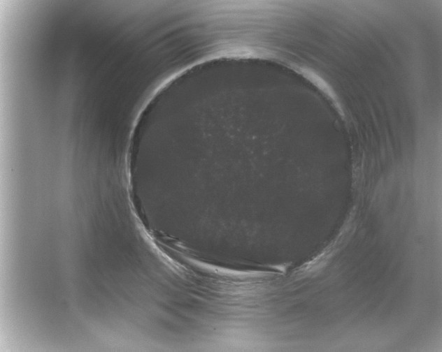 X0000069360935200605150913