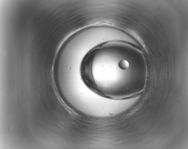 X0000069360936200605150913