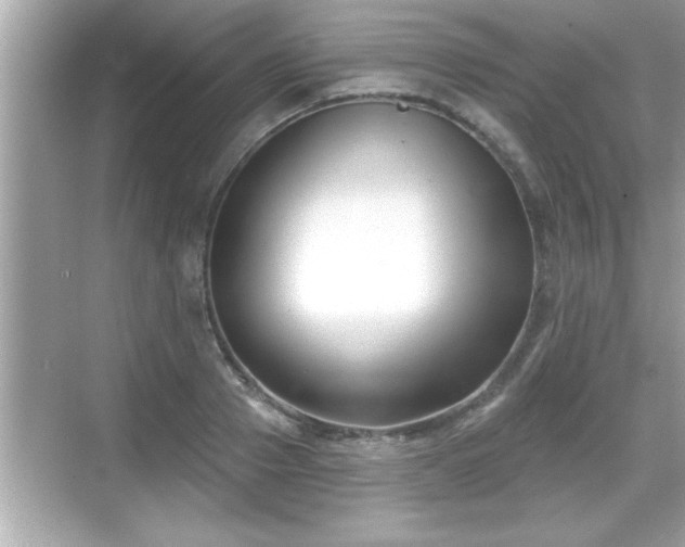 X0000069360937200605150913