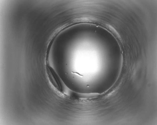 X0000069360938200605150913