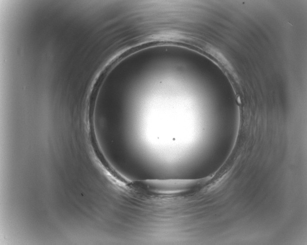 X0000069360939200605150913