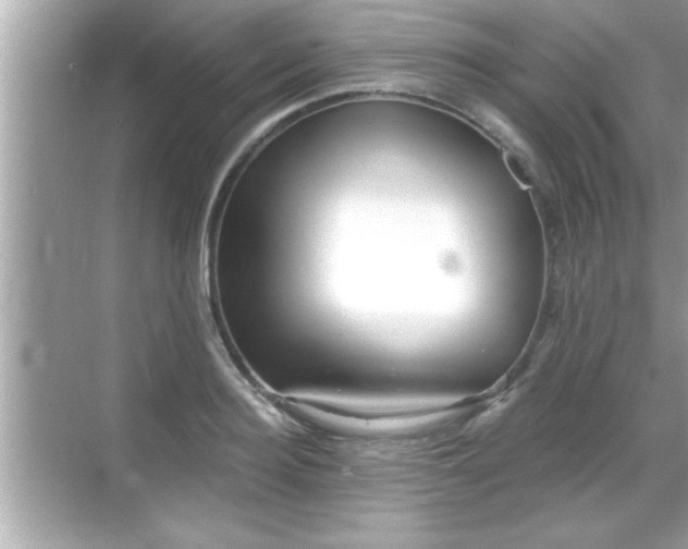 X0000069360940200605150913