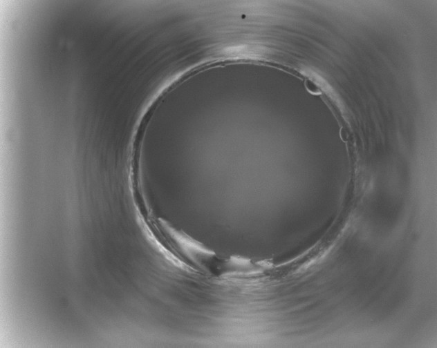 X0000069360941200605150913