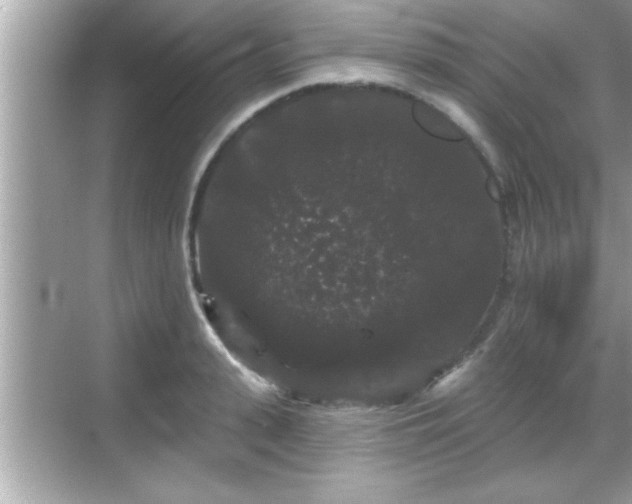 X0000069360943200605150913