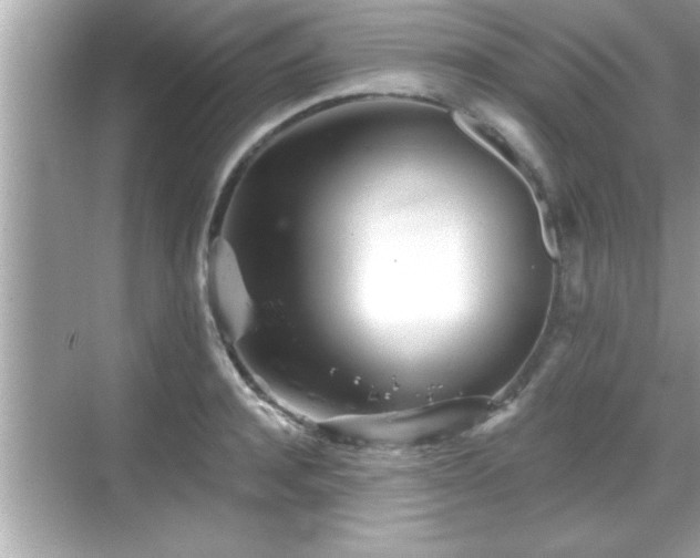 X0000069360944200605150913