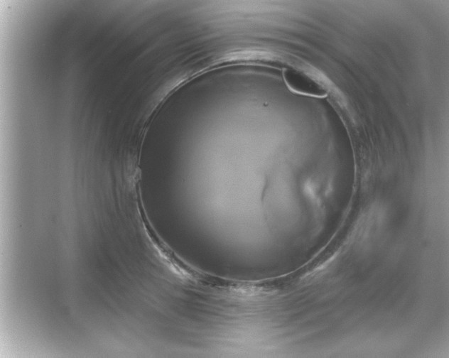 X0000069360945200605150913