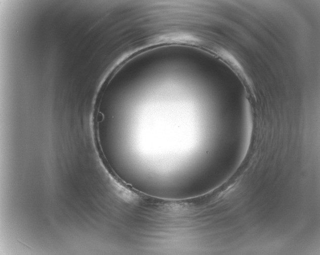 X0000069360947200605150913