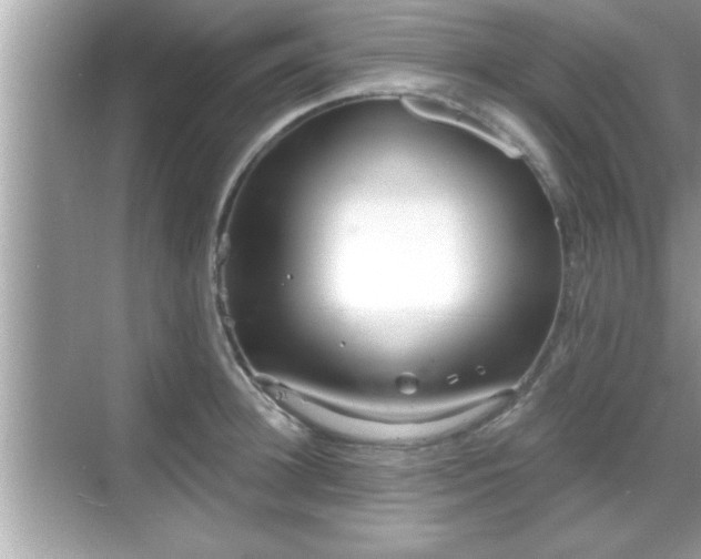 X0000069360948200605150913