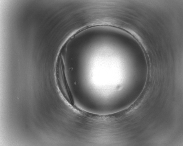 X0000069360949200605150913