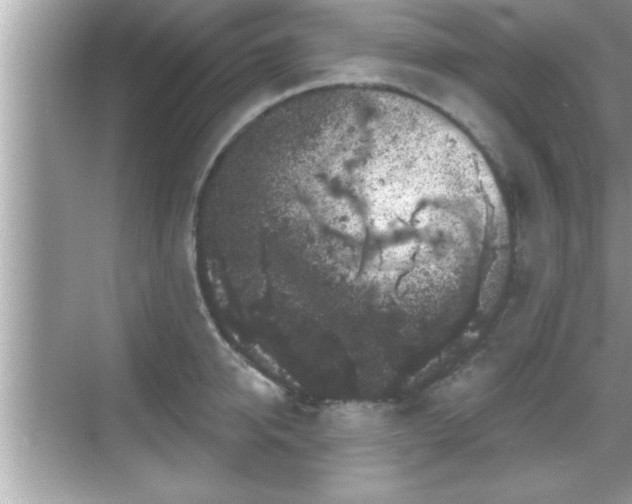 X0000069360950200605150913