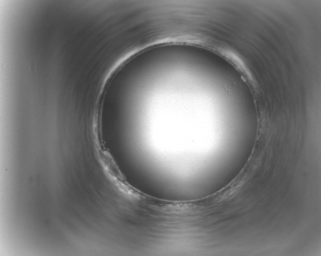 X0000069360952200605150913