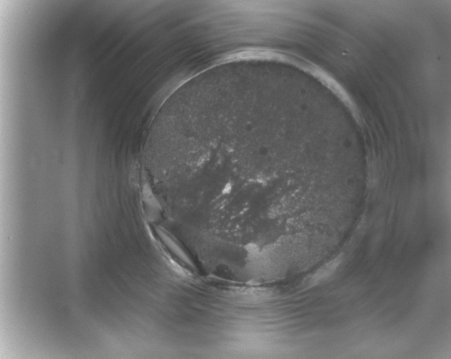 X0000069360953200605150913