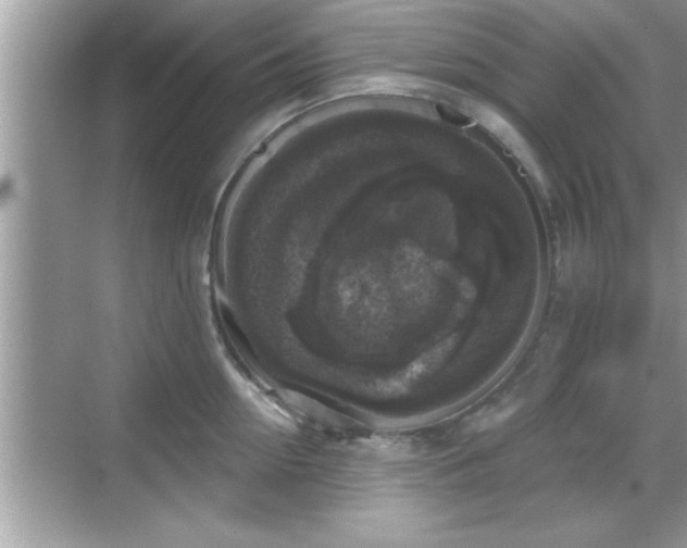 X0000069360954200605150913