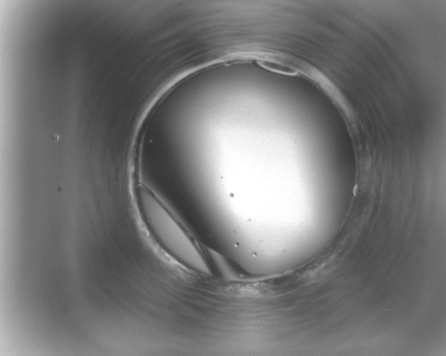 X0000069360955200605150913