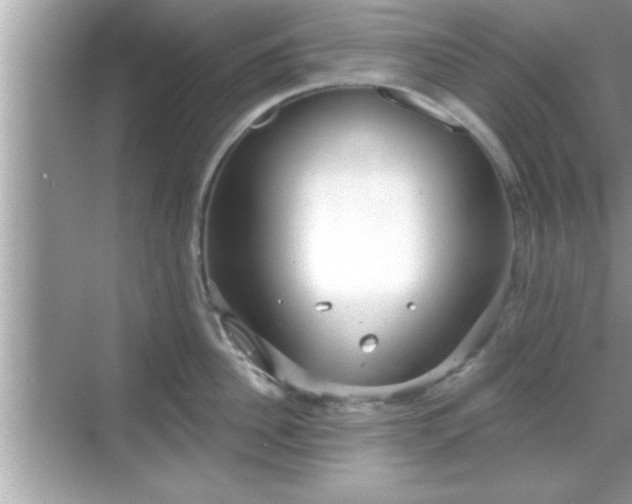 X0000069360956200605150913