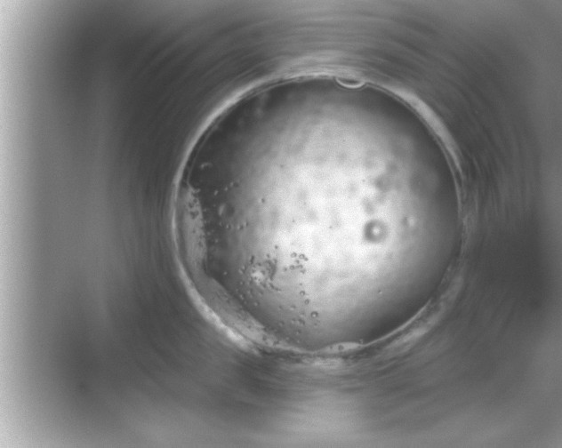 X0000069360957200605150913