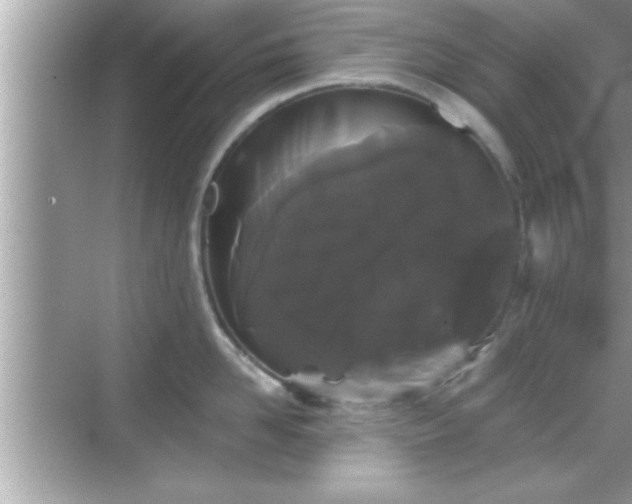 X0000069360958200605150913