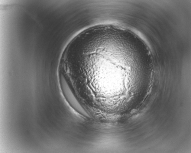 X0000069360959200605150913