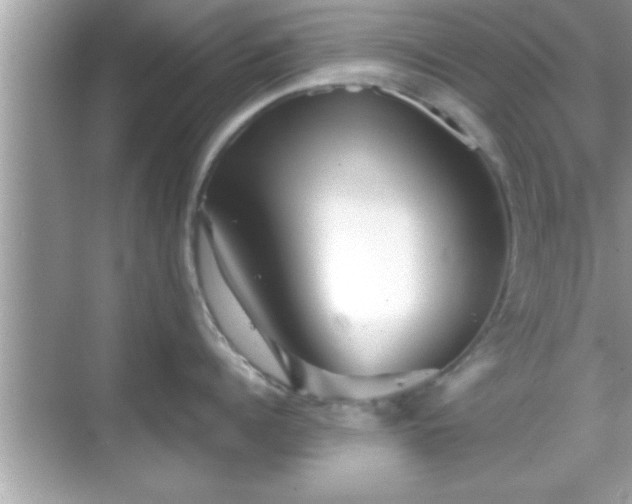 X0000069360960200605150913