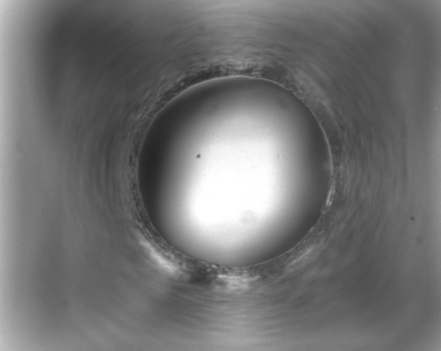 X0000069360961200605150912