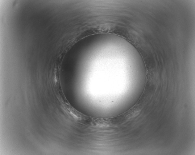 X0000069360962200605150912