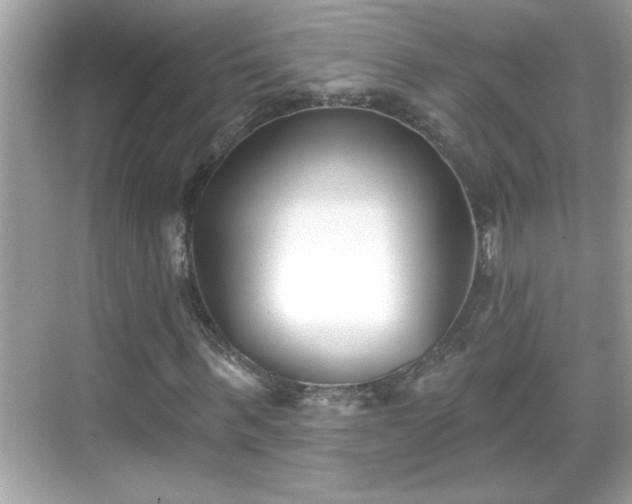 X0000069360963200605150912