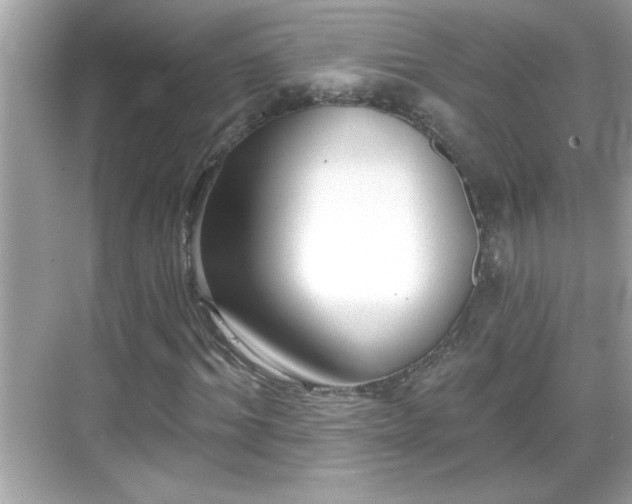 X0000069360964200605150912