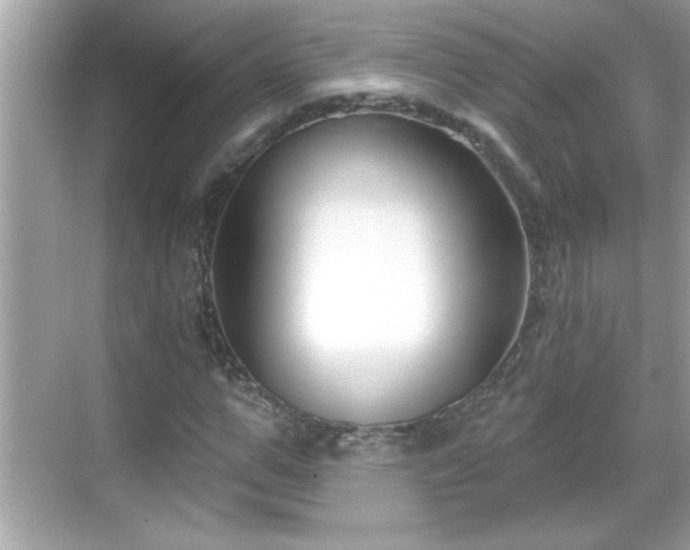 X0000069360967200605150912