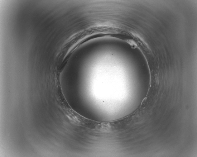 X0000069360968200605150912