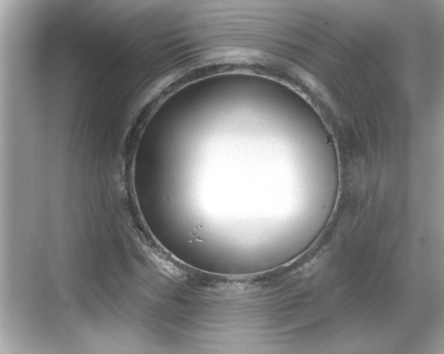 X0000069360970200605150912