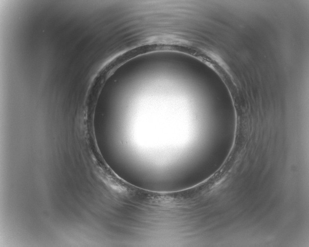 X0000069360971200605150912