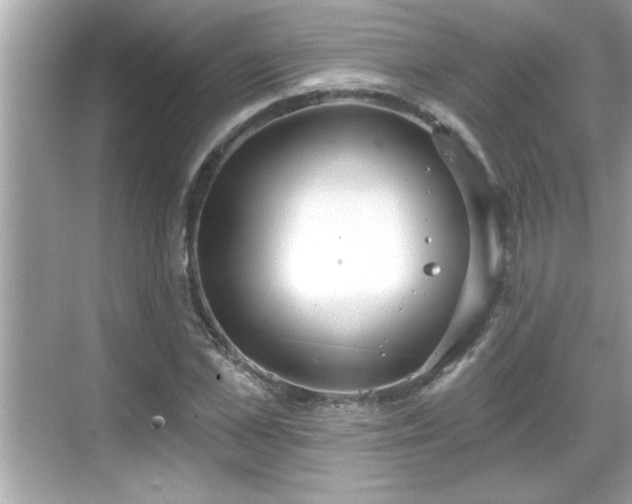 X0000069360973200605150912