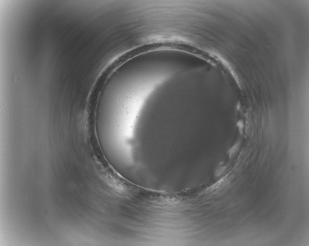 X0000069360975200605150912