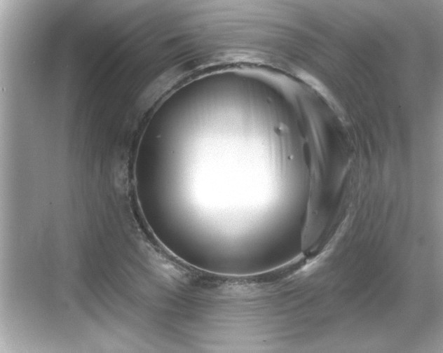 X0000069360977200605150912