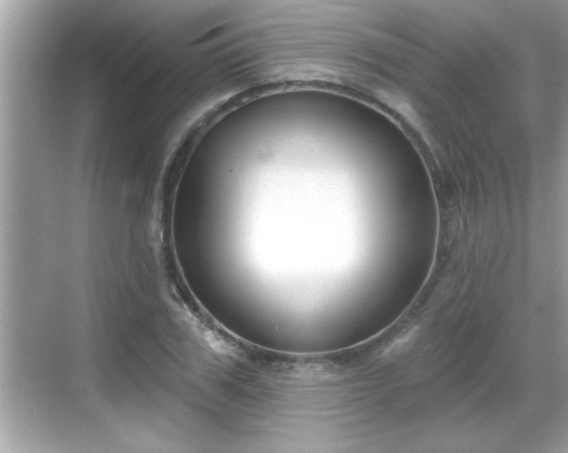 X0000069360979200605150912